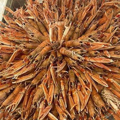 Ty Bag - Restaurant Plouharnel - Restaurant fruit de mer Carnac