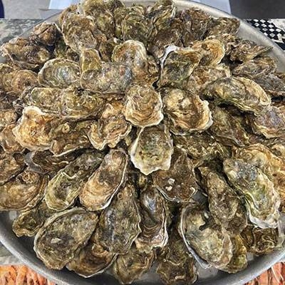 Ty Bag - Restaurant Plouharnel - bien manger PLOUHARNEL